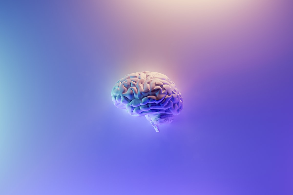 Stylised 3D model of a human brain on a purple gradient